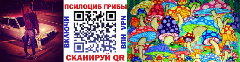 даркнет сайт  Новоаннинский  Галлюциногенные грибы Psilocybe 